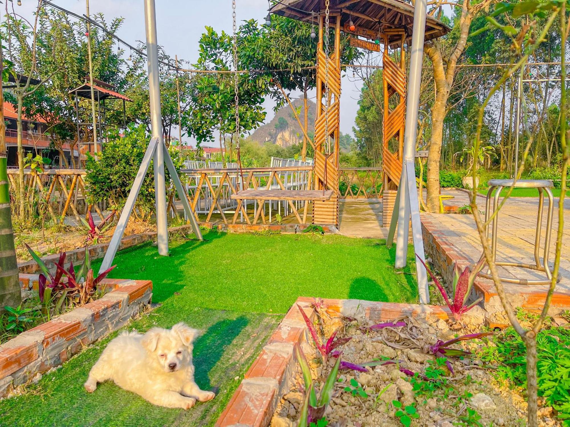 Trang An Quynh Trang Happy Homestay & Garden Ninh Binh Exterior photo